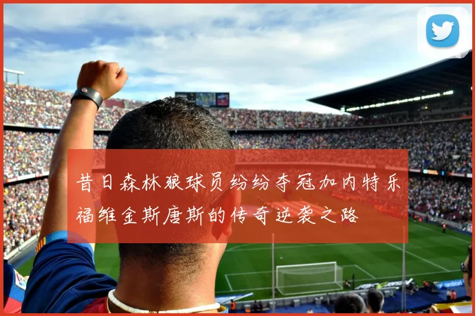 昔日森林狼球员纷纷夺冠加内特乐福维金斯唐斯的传奇逆袭之路
